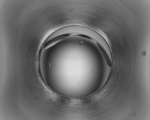 X0000090481144200707201410
