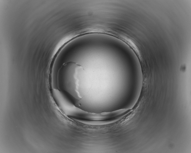 X0000090481146200707201410