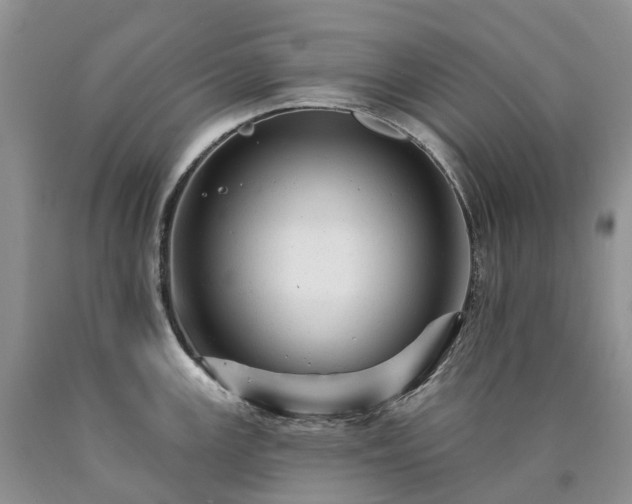 X0000090481147200707201410