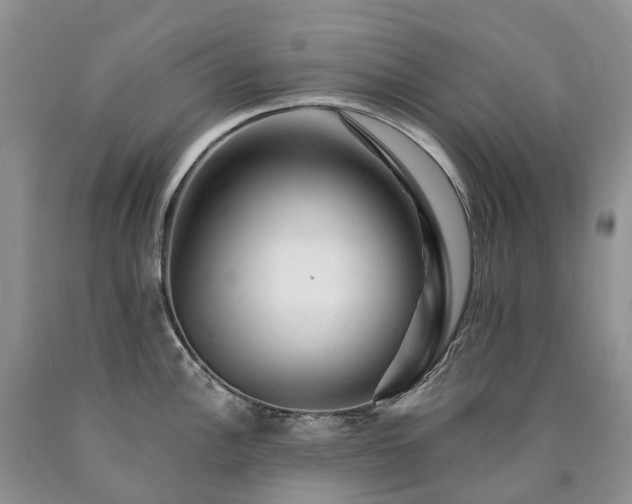 X0000090481148200707201410