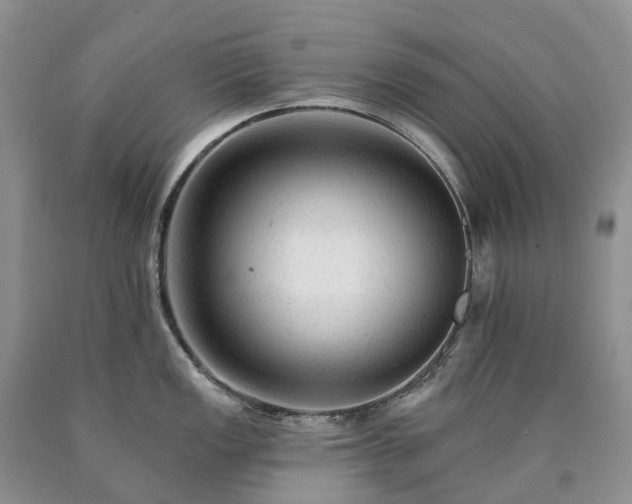X0000090481149200707201410