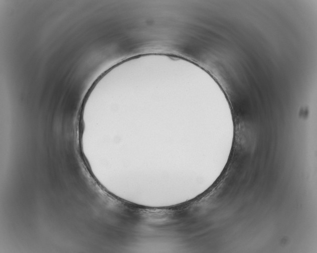 X0000090481150200707201410