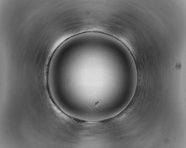 X0000090481151200707201410