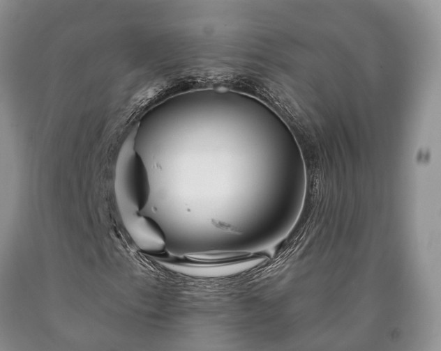 X0000090481153200707201409