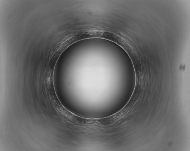 X0000090481154200707201409