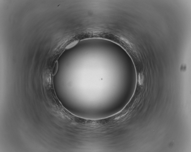 X0000090481155200707201409