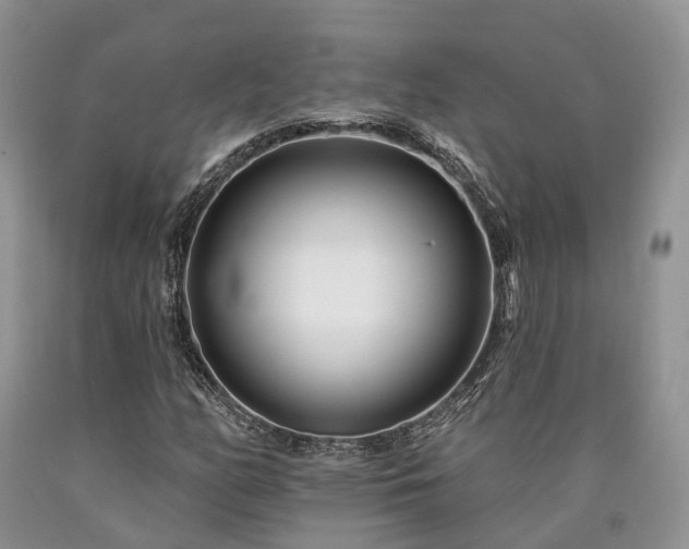 X0000090481158200707201409