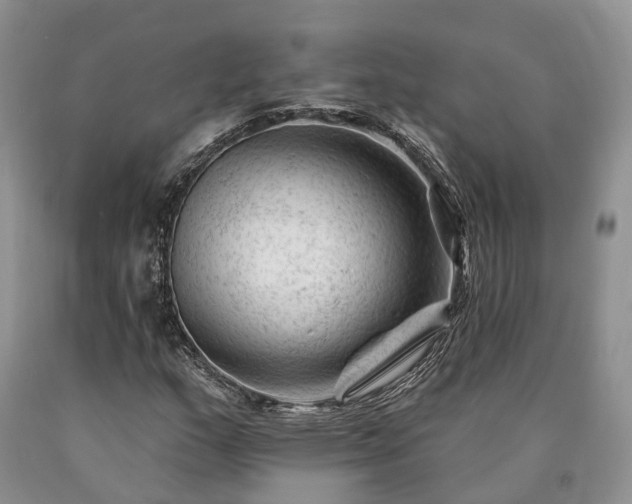 X0000090481159200707201409