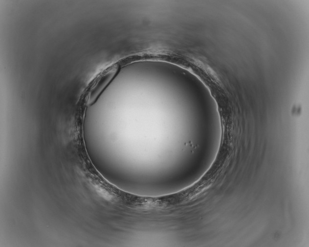 X0000090481160200707201409