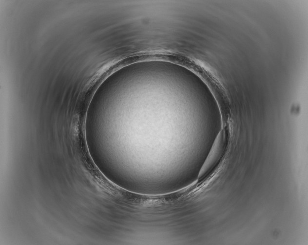 X0000090481161200707201409