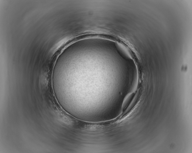 X0000090481163200707201409