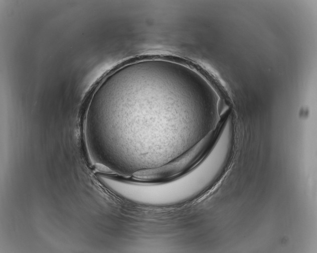 X0000090481167200707201409