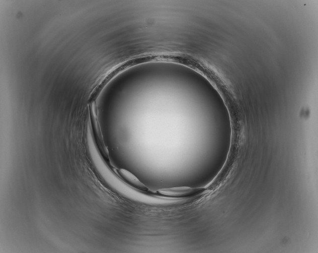 X0000090481169200707201409