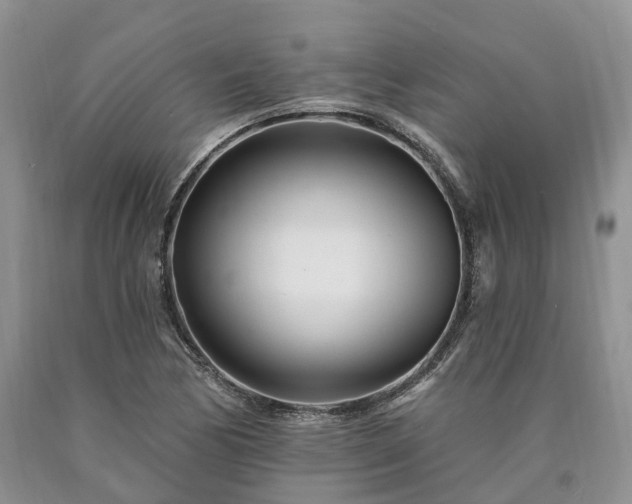 X0000090481170200707201409