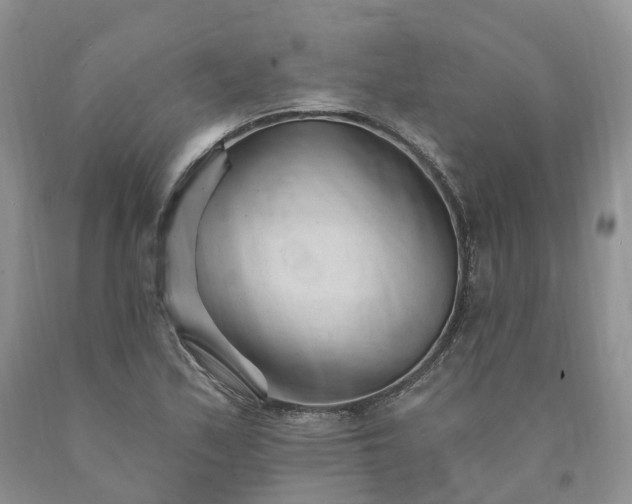 X0000090481171200707201409