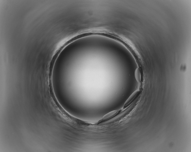 X0000090481176200707201409