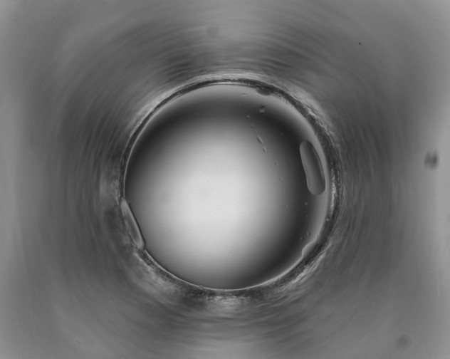 X0000090481177200707201409