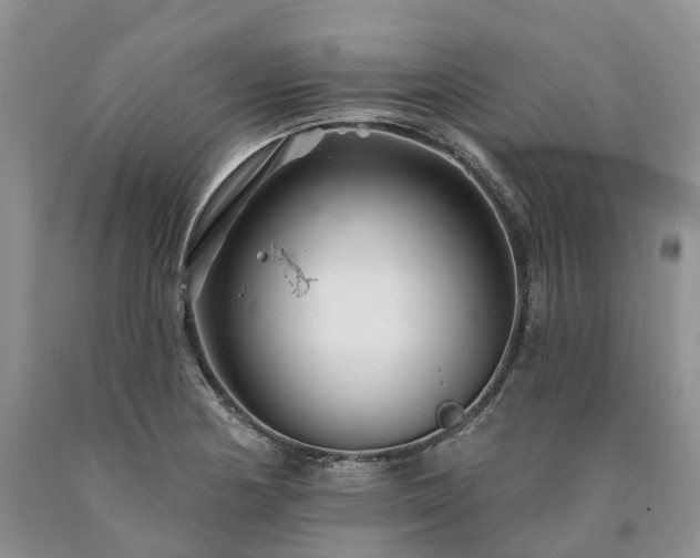 X0000090481178200707201409