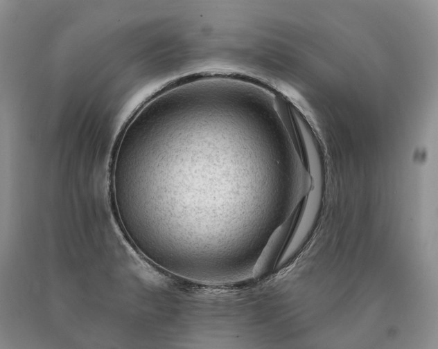 X0000090481183200707201409