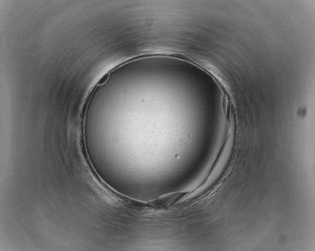 X0000090481187200707201409