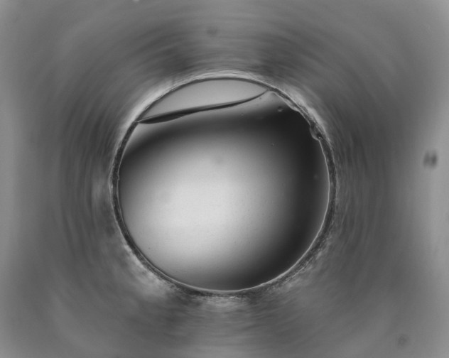 X0000090481189200707201409