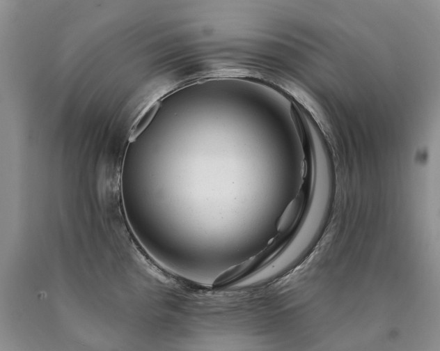 X0000090481193200707201409