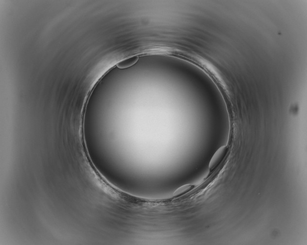 X0000090481194200707201409