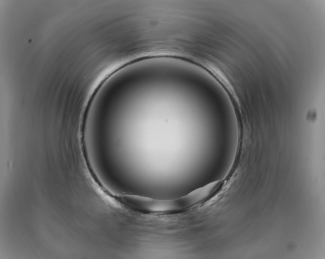 X0000090481197200707201409