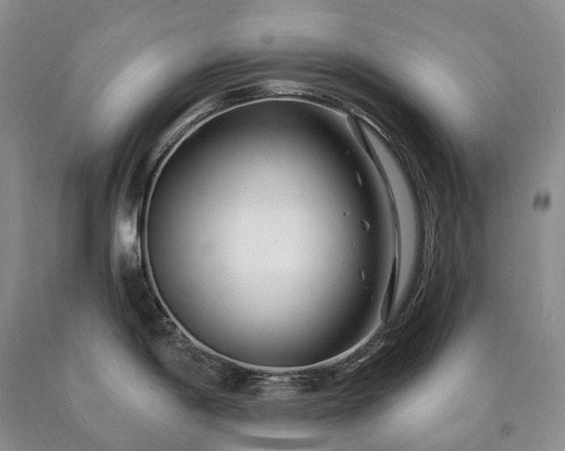 X0000090481198200707201409