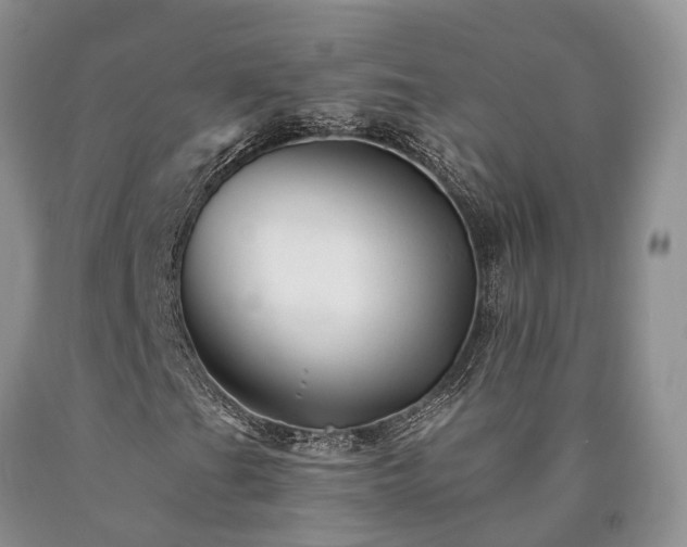 X0000090481201200707201408