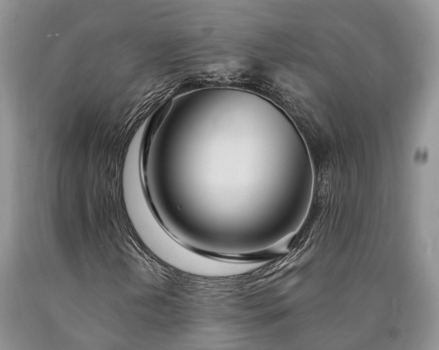 X0000090481202200707201408