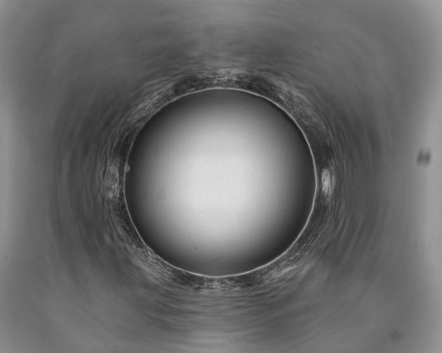 X0000090481203200707201408