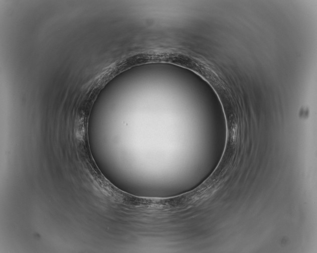 X0000090481204200707201408