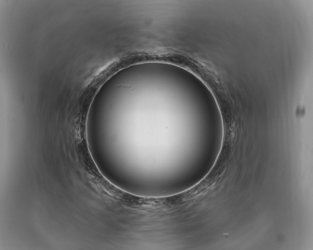 X0000090481205200707201408