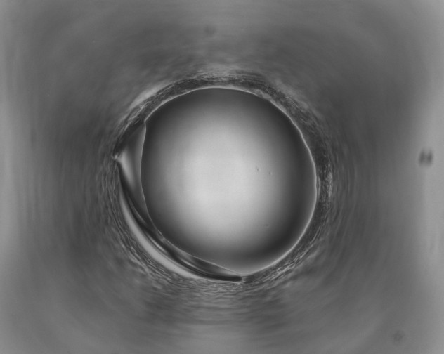 X0000090481206200707201408