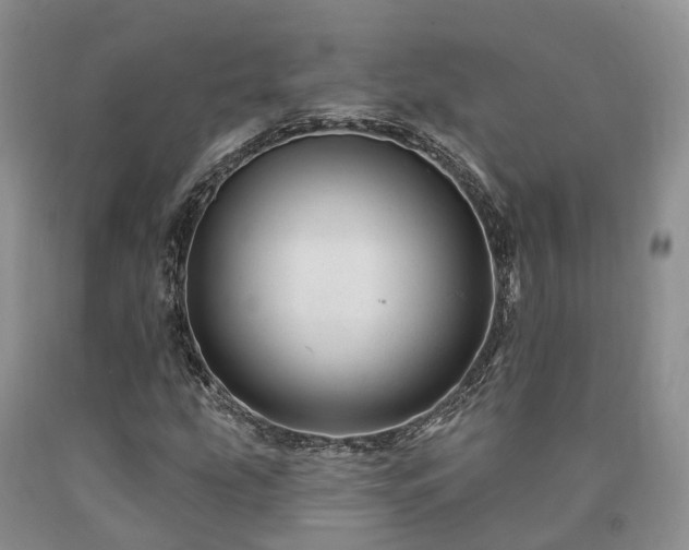 X0000090481207200707201408