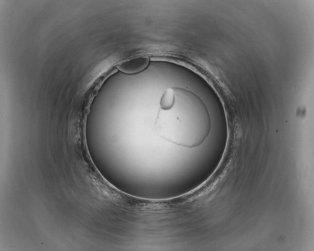 X0000090481211200707201408