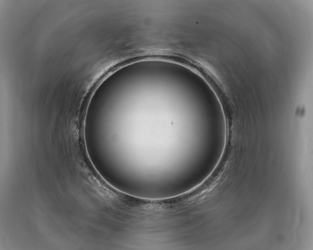 X0000090481212200707201408