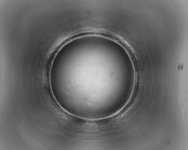 X0000090481215200707201408