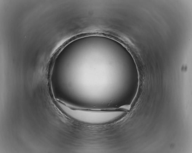 X0000090481216200707201408