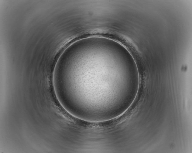 X0000090481217200707201408