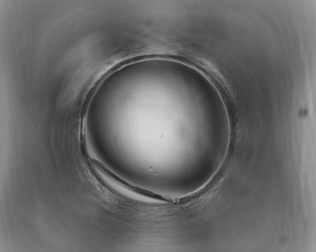 X0000090481220200707201408
