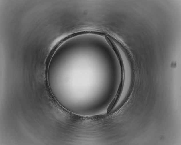 X0000090481222200707201408
