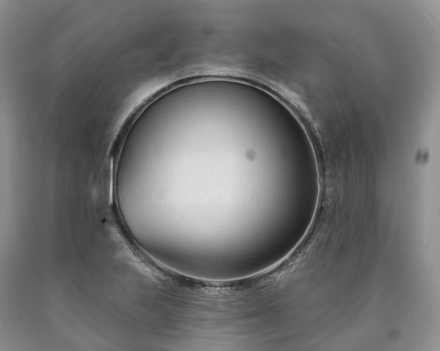 X0000090481223200707201408