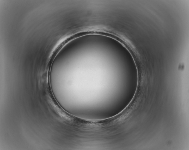 X0000090481224200707201408
