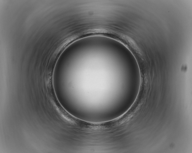 X0000090481225200707201408