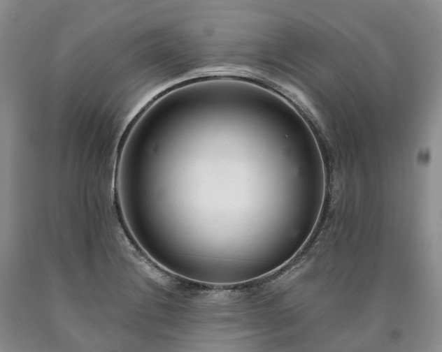 X0000090481228200707201409