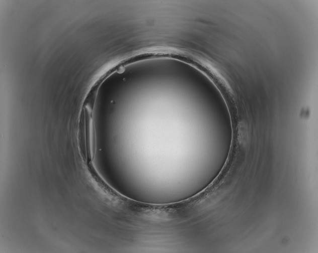 X0000090481229200707201409
