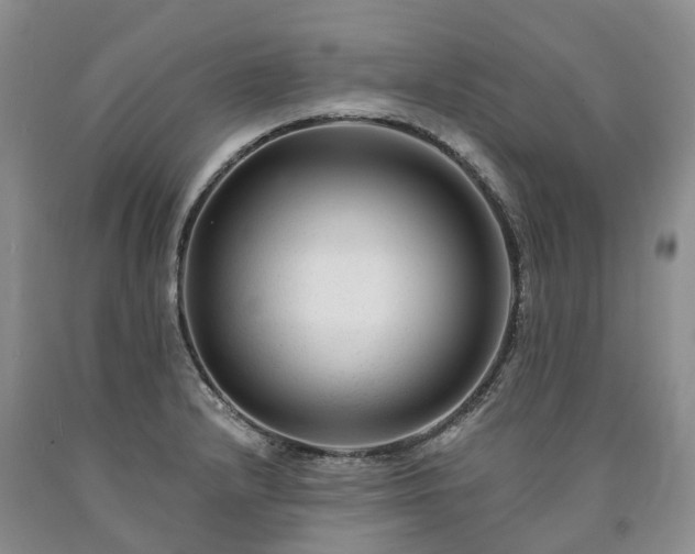 X0000090481232200707201409