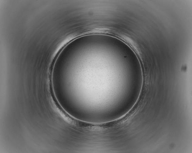 X0000090481235200707201409